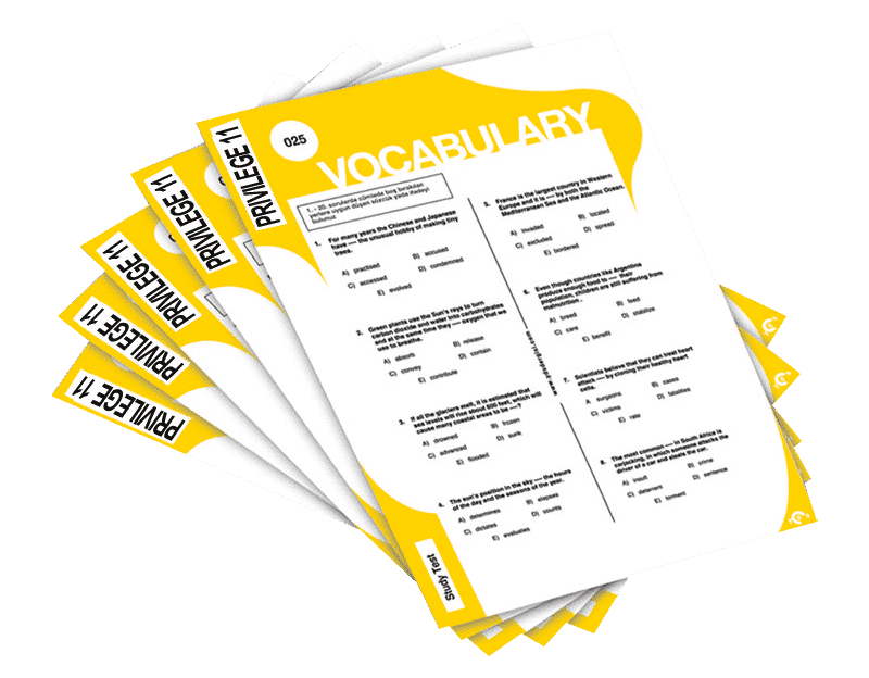 Vocabulary Worksheets - Privilege Grade 11