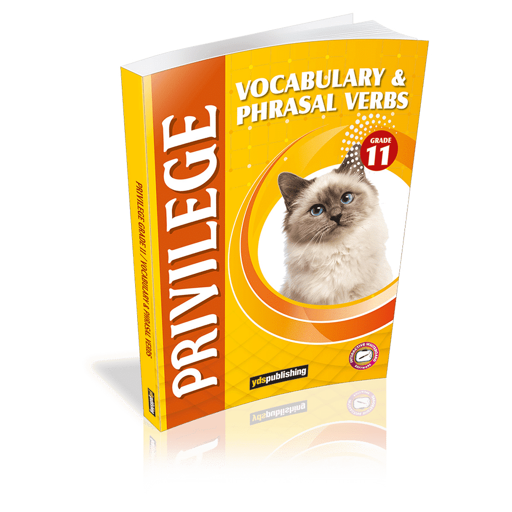 Vocabulary & Phrasal Verbs- Privilege Grade 11